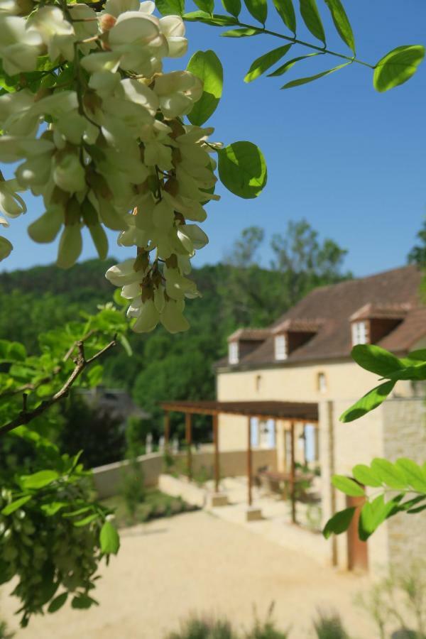 Maison Du Cedre Auriac-du-Périgord Exteriér fotografie